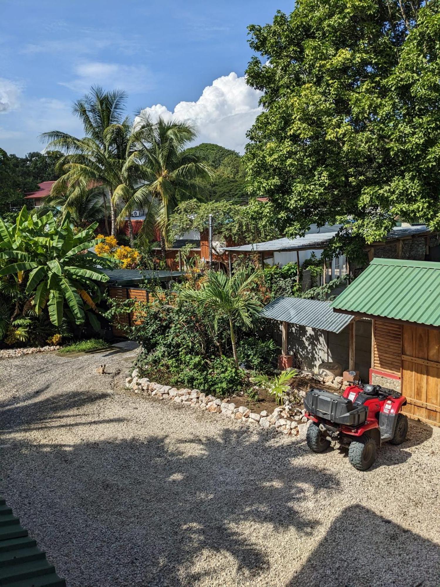 Готель Casa Calocita Playa Santa Teresa  Екстер'єр фото